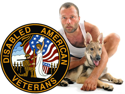 Disabled American Veterans