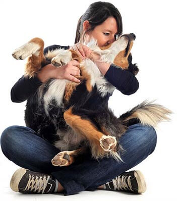 Love That Diamond Dog!