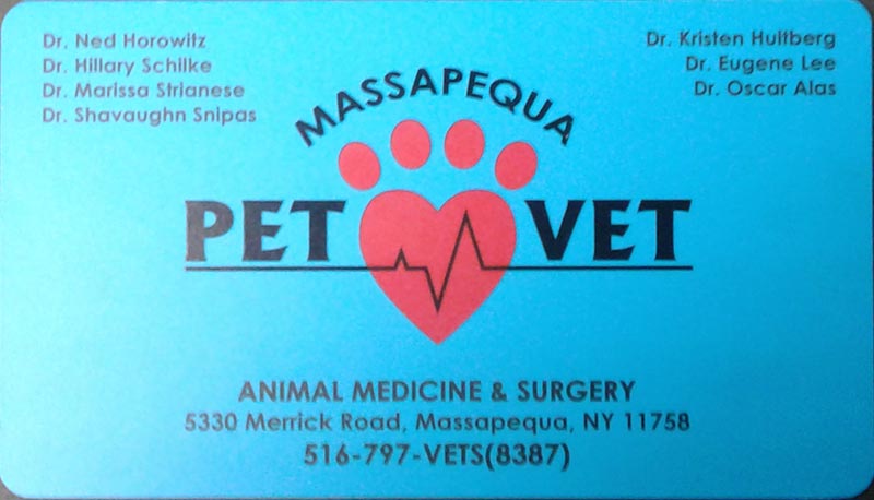Massapequa Pet Vet